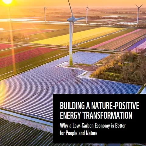 A low sun shines on a field of solar panels and wind turbines
