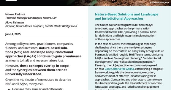 Nature-Based Solutions and Landscape and Jurisdictional Approaches