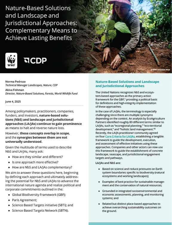 Nature-Based Solutions report cover