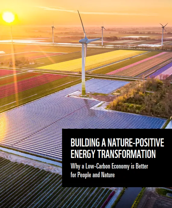 A low sun shines on a field of solar panels and wind turbines