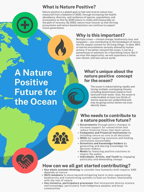 Nature-positive oceans document