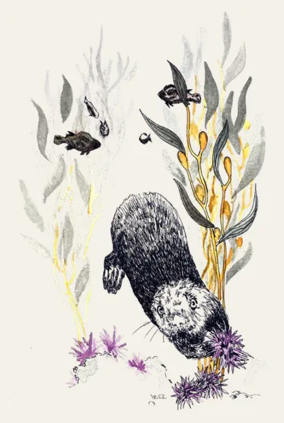 A colorful illustration shows a sea otter diving down among underwater plants