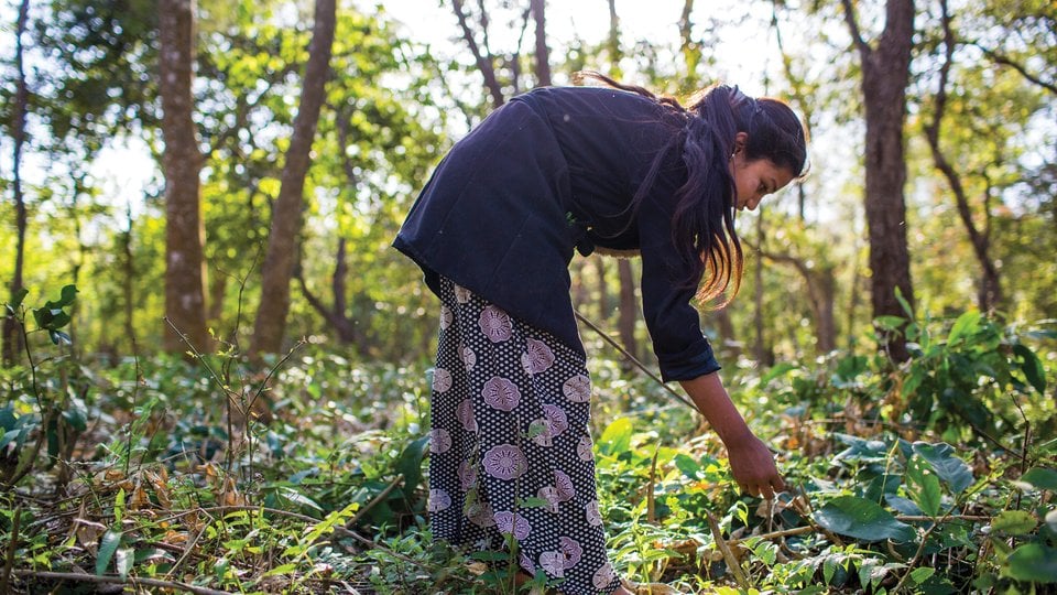 A woman bending over in the forest