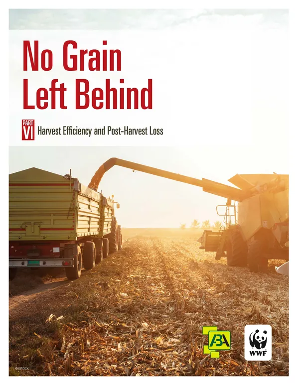 No Grain Left Behind report cover