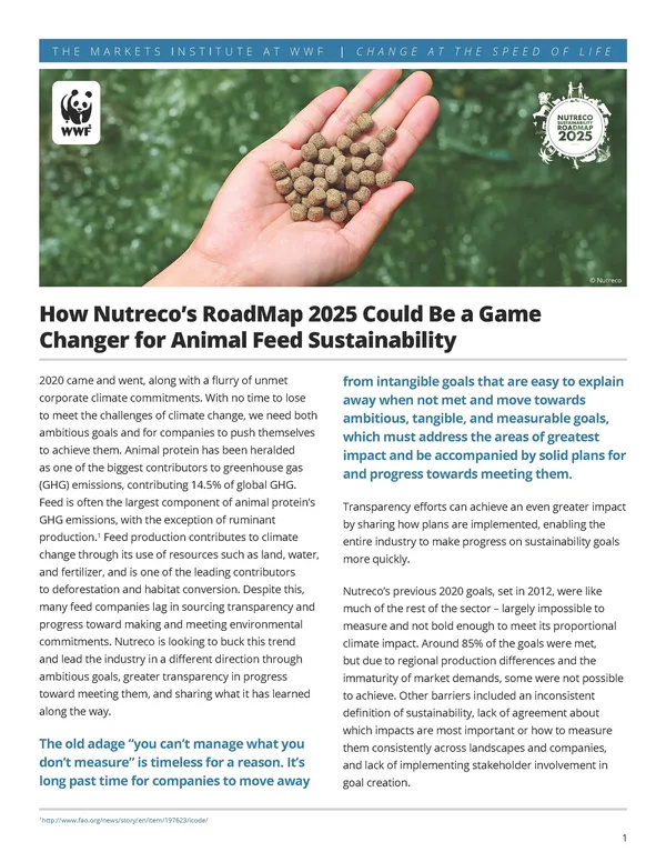 Cover image for "How Nutreco‚Äôs RoadMap 2025 Could Be a Game Changer for Animal Feed Sustainability"