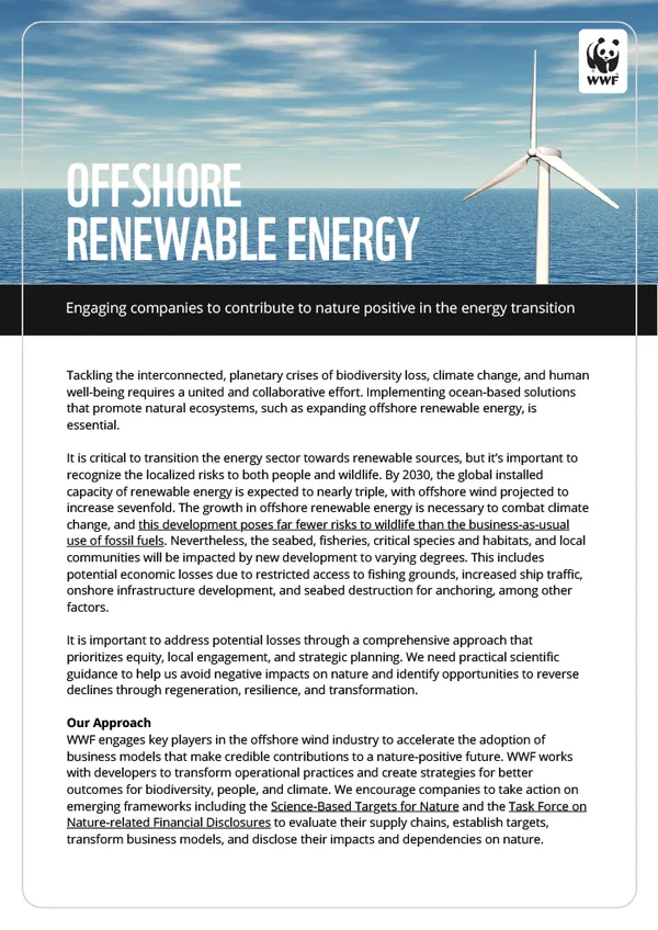 Marine Renewables cover