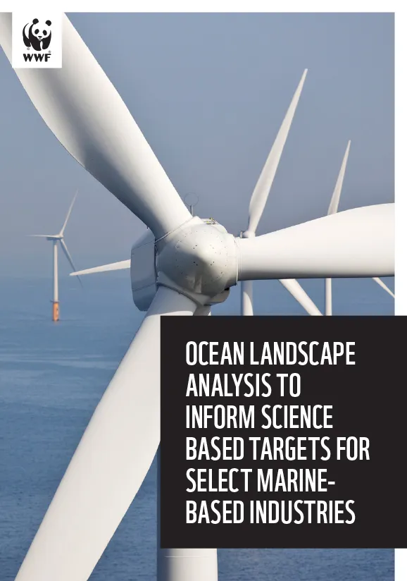 Ocean Landscape Analysis full report