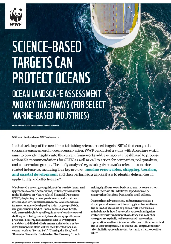 Ocean Landscape Analysis 1pg cover