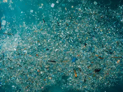 Thousands of pieces of colorful plastic float in the ocean