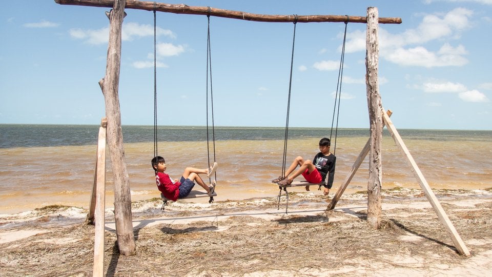 Two boys on a handmade wooden swingset