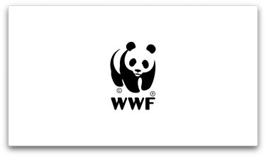 A white slide with the WWF logo positioned in the middle.