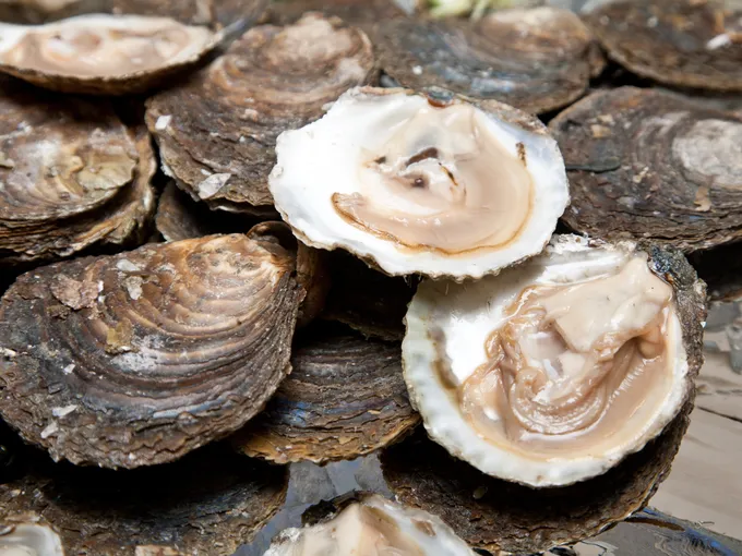 A large pile of farmed oysters, shucked and ready to be eaten.