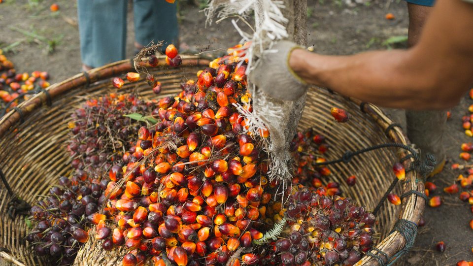 A large wicker basket filled with bright red palm oil seeds.