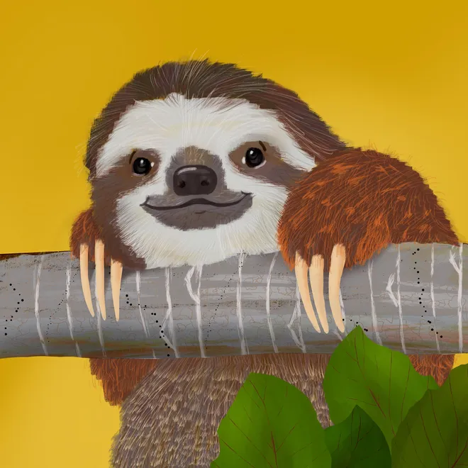 Illustration of a sloth holding on to a branch