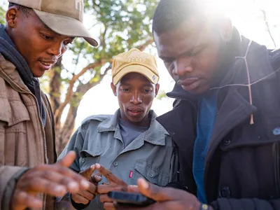 Three pangolin rangers look at maps on a GPS app while tracking a new pangolin