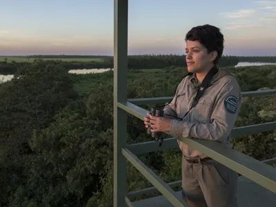 A ranger holding binoculars at the top of a lookout above a vast green forest