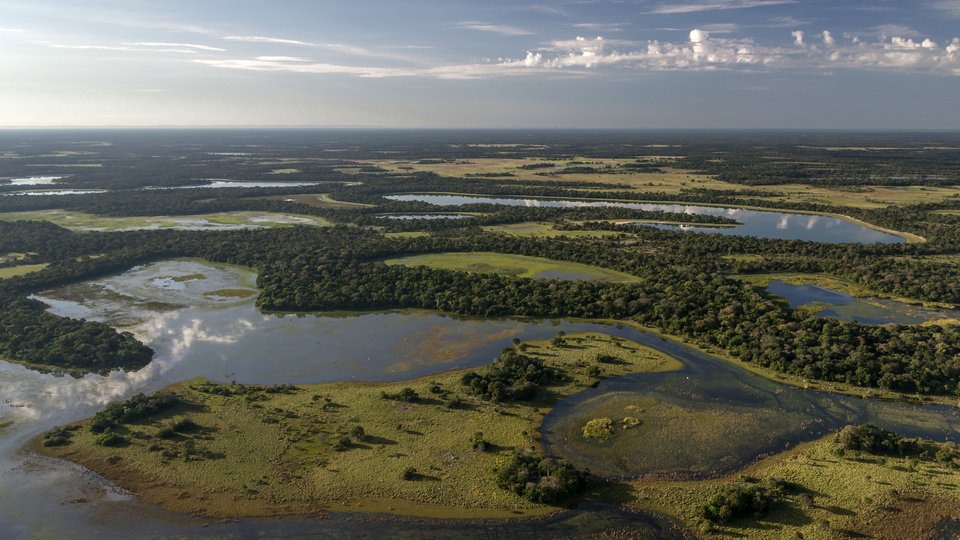 Brazilian Wetlands