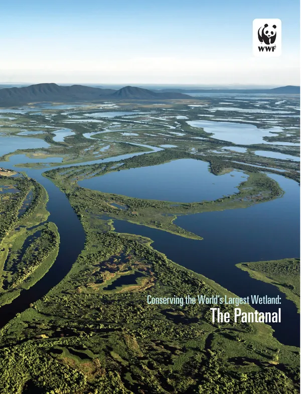 A report cover showing a sprawling aerial view of the Pantal with forest and grass, water, and mountains in the distance