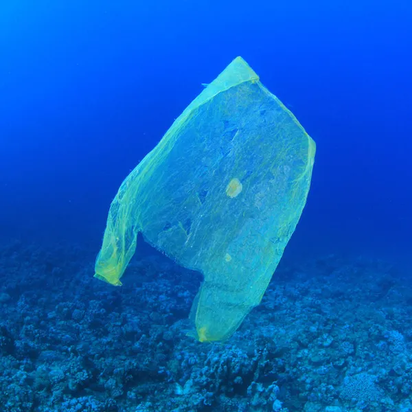 A plastic bag floats underwater.