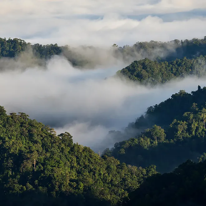 Landscape view of Kaeng Krachan National Park (Thailand) with fog