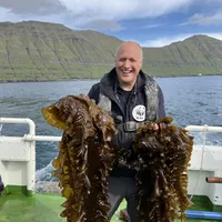 A man holding large green strands of kelp with a body of water in the background