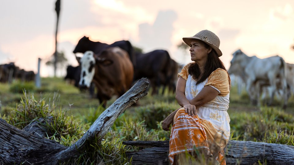 Woman seated on log in cattle pasture