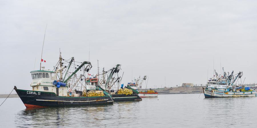 Four mahi mahi fishing boats in the water.