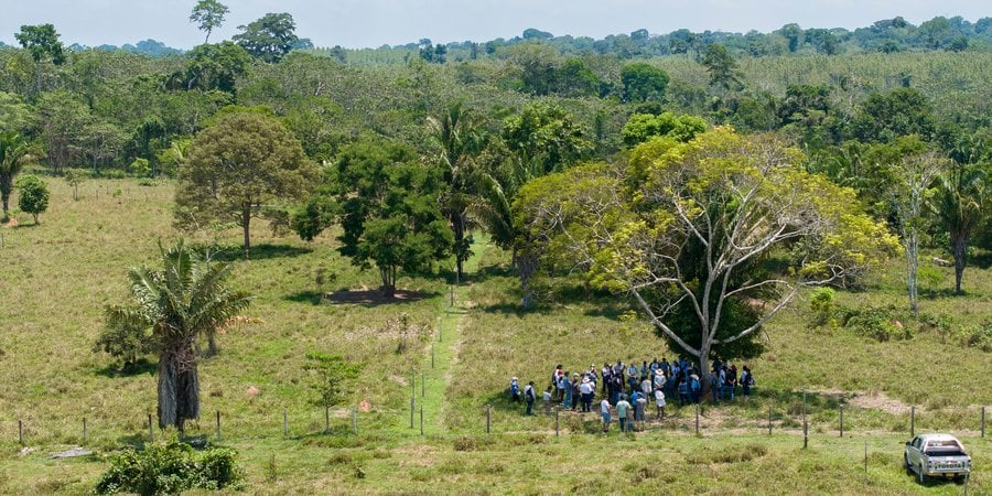 Large gathering of people under a tree on a ranch