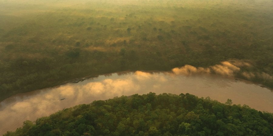 Aerial image of river in thick forest