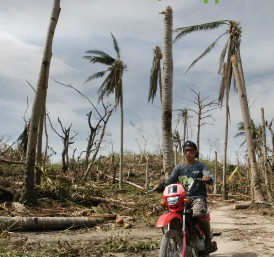 A person wearing sunglasses sits on a red motorbike amid palm trees that have split and fallen during a storm
