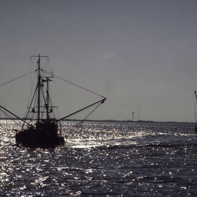 A couple of fishing boats out at sunrise on a bay