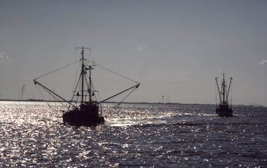 A couple of fishing boats out at sunrise on a bay