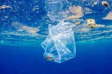A plastic bag and other trash floating in water.