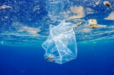A crab caught in a plastic bag in the ocean