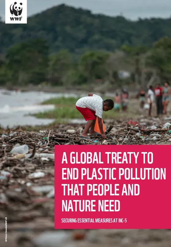 A Global Treaty to End Plastic Pollution that People and Nature Need