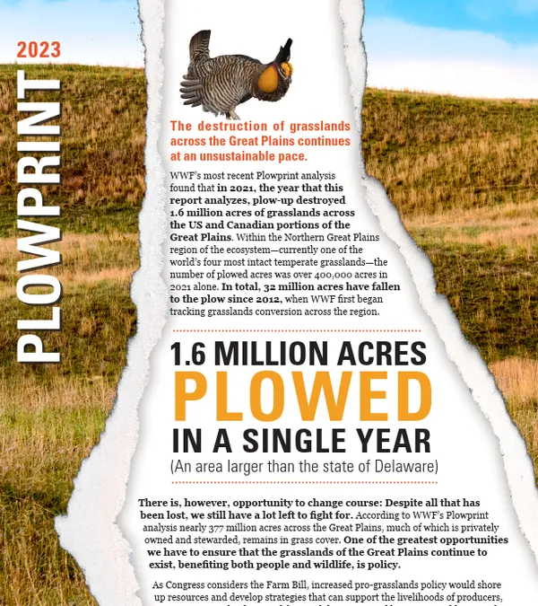 Text overlays an image of plowed up grassland