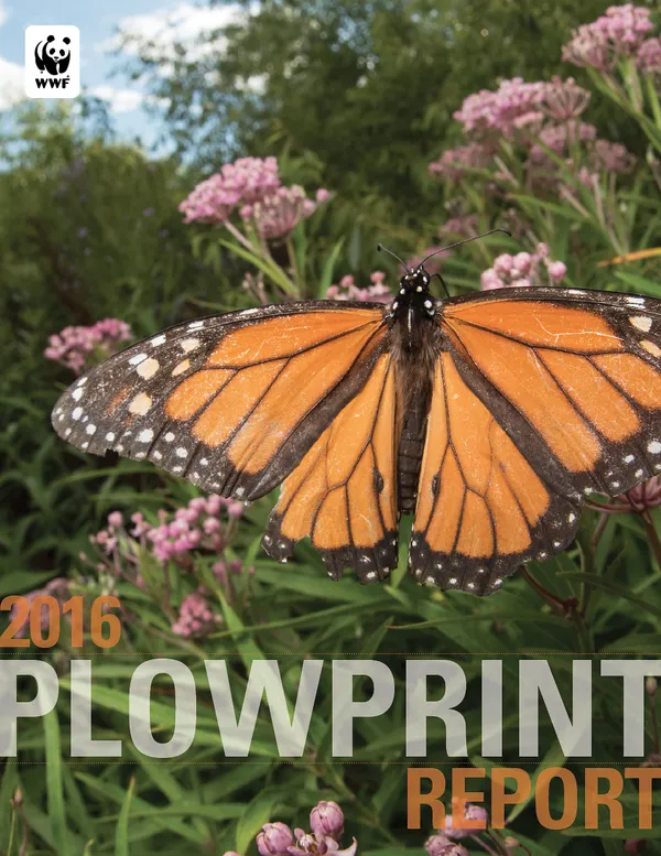 A report cover showing a closeup of a monarch butterfly perched on milkweed
