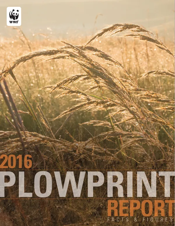A report cover featuring a closeup of grain in the late afternoon sun