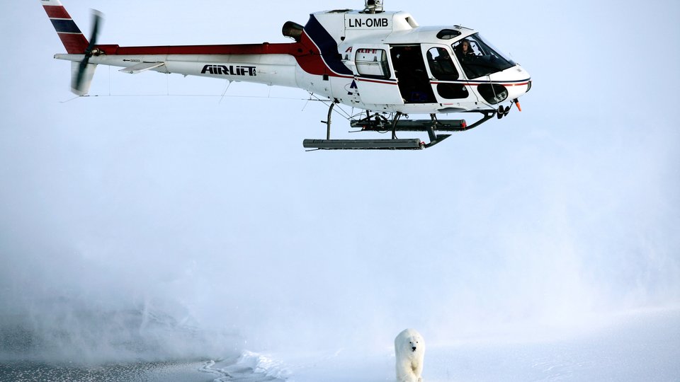 a helicopter flies over polar bear landscape