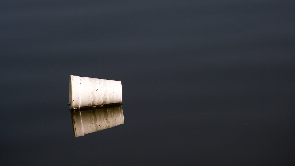 Polystyrene cup floating in water