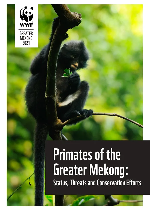 WWF report cover