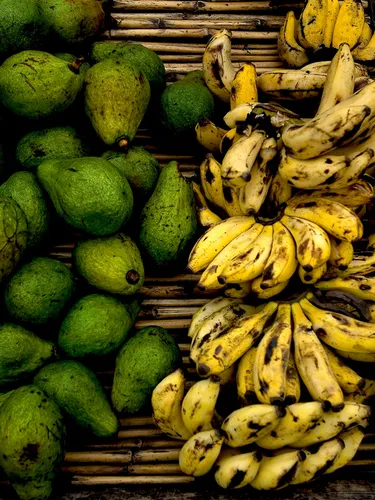 A photo showing a bunch of green bananas and yellow plantains.