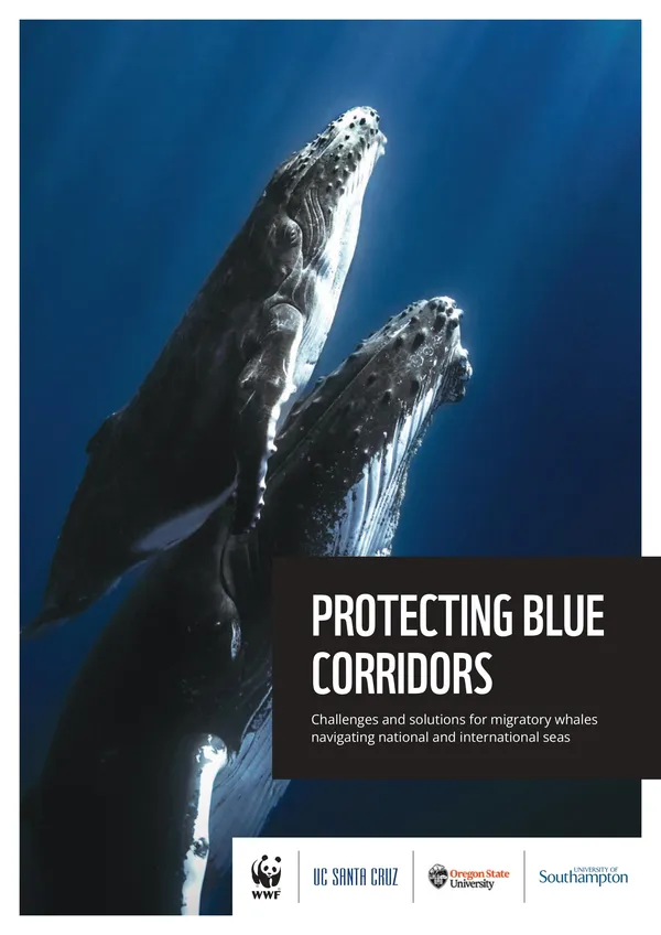 Protecting Blue Corridors report cover page