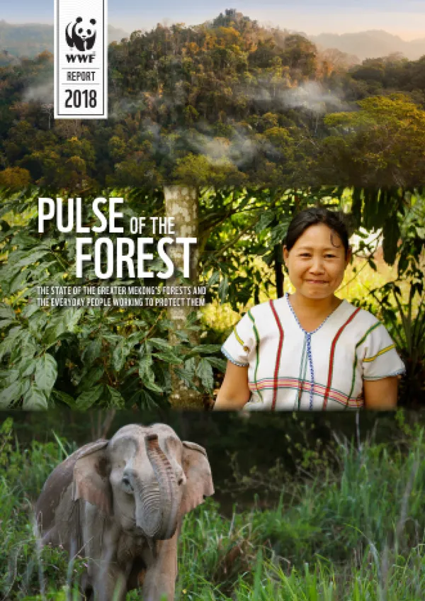 A report cover featuring three stacked images of a forested mountain, a woman, and an Asian elephant lifting its trunk