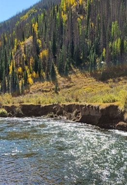 a river with trees along the bank