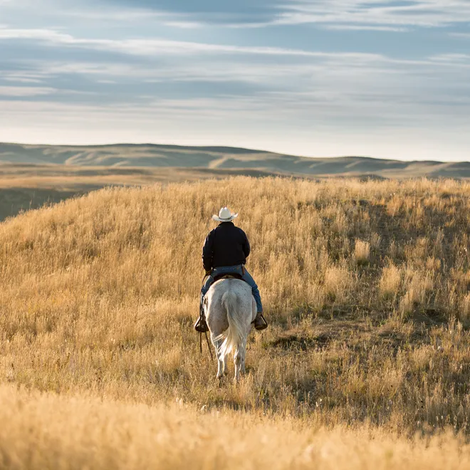 A man rides a horse through grassland