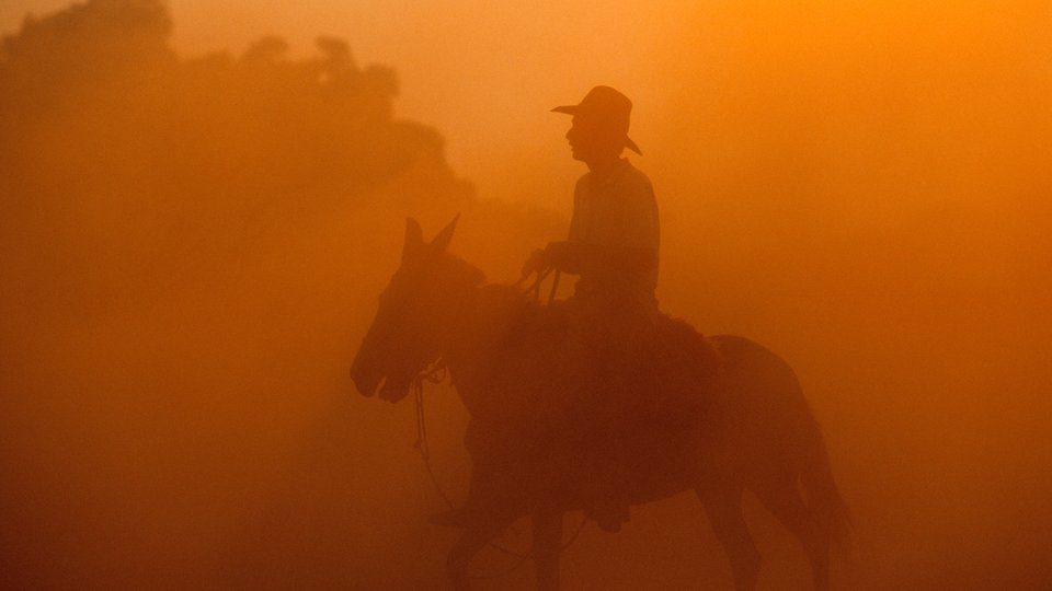 Rancher on a horse in the Pantanal