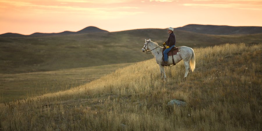 Rancher on his horse looking across the Northern Great Plains.