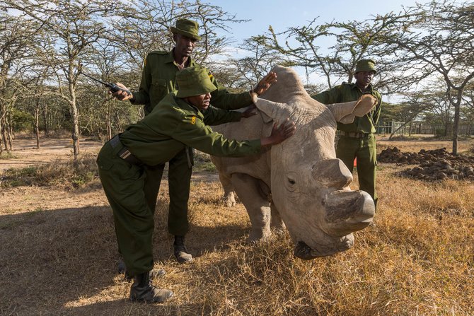 Wwf Ranger Danger The Importance of Rangers to Conservation | World Wildlife Fund