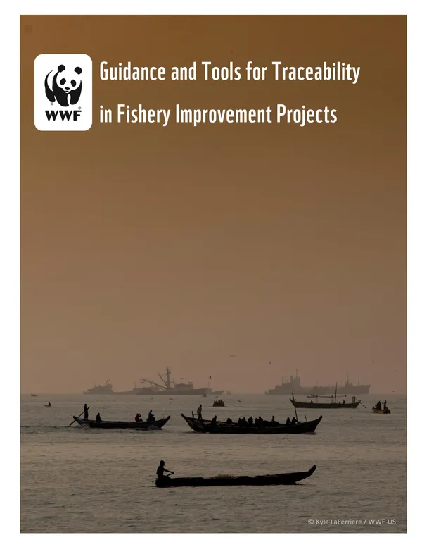 Cover page for Guidance and Tools for Traceability in Fishery Improvement Projects Report